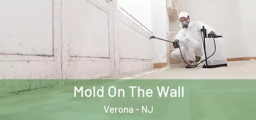  Mold On The Wall Verona - NJ
