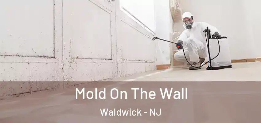Mold On The Wall Waldwick - NJ