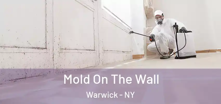  Mold On The Wall Warwick - NY