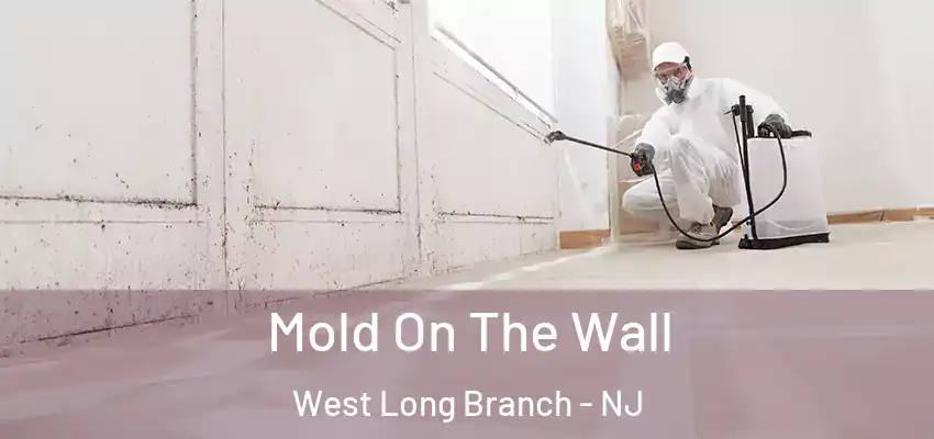 Mold On The Wall West Long Branch - NJ