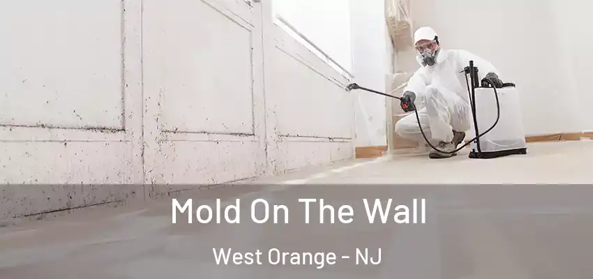  Mold On The Wall West Orange - NJ