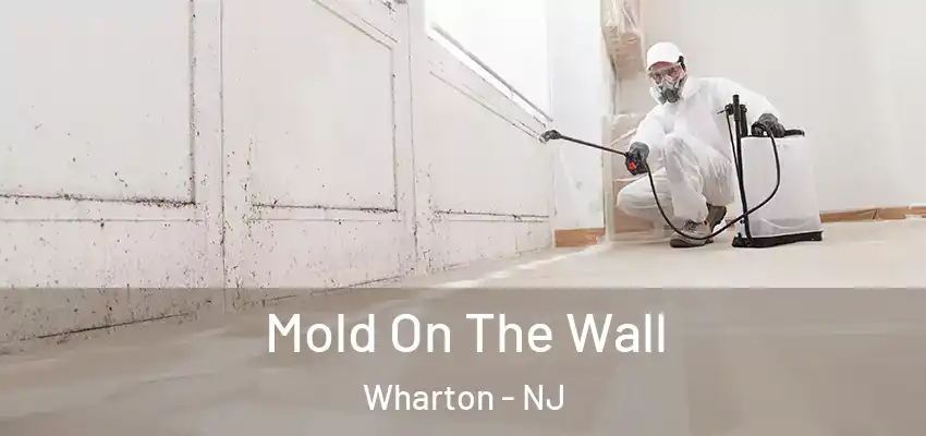  Mold On The Wall Wharton - NJ