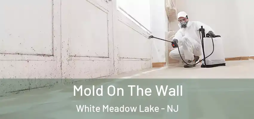 Mold On The Wall White Meadow Lake - NJ
