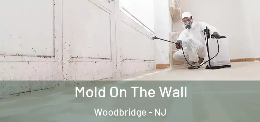 Mold On The Wall Woodbridge - NJ