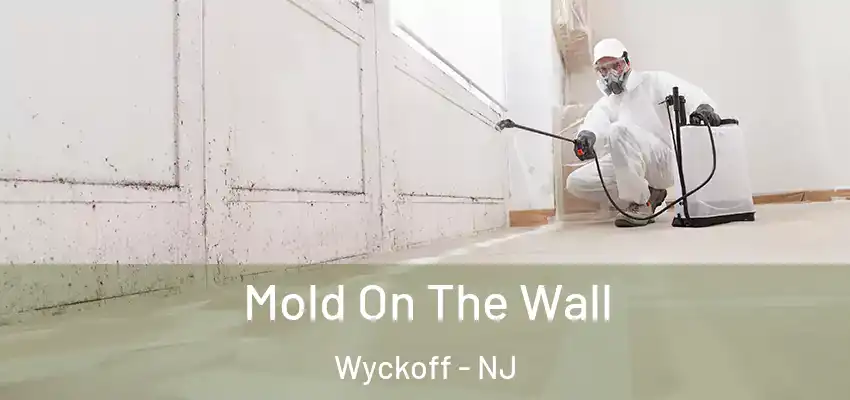 Mold On The Wall Wyckoff - NJ