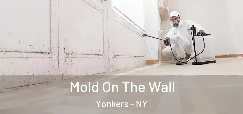  Mold On The Wall Yonkers - NY