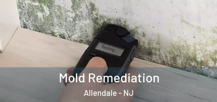 Mold Remediation Allendale - NJ
