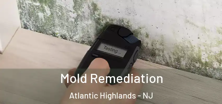 Mold Remediation Atlantic Highlands - NJ