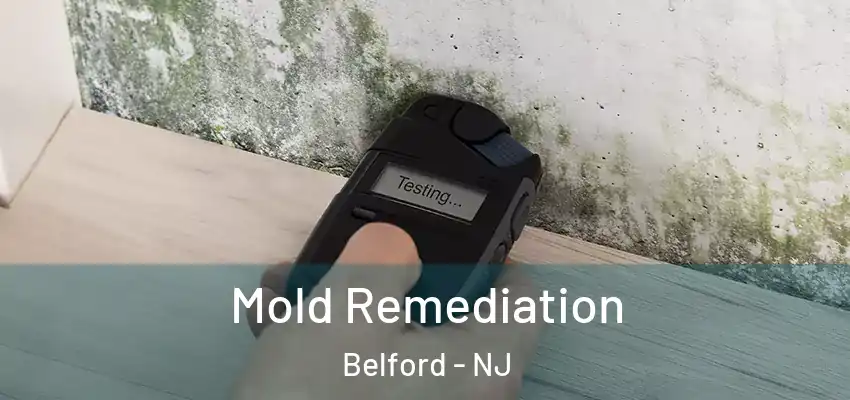 Mold Remediation Belford - NJ