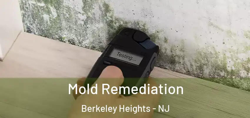  Mold Remediation Berkeley Heights - NJ