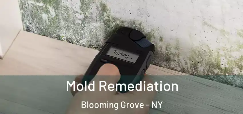 Mold Remediation Blooming Grove - NY