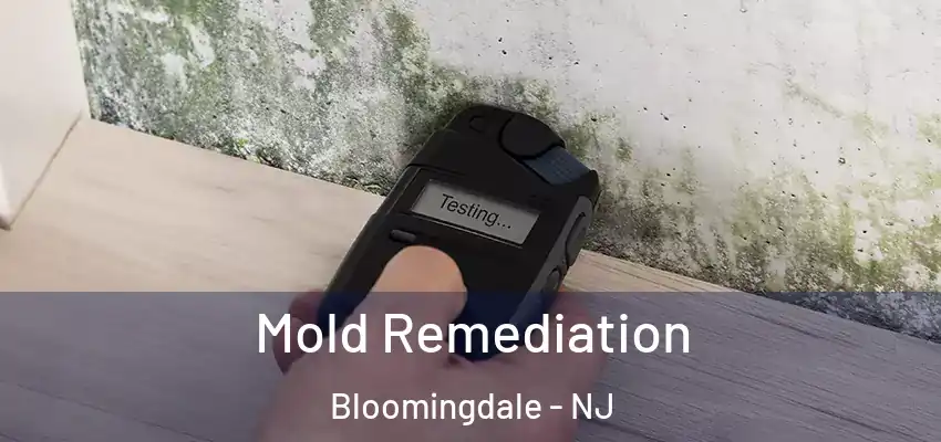  Mold Remediation Bloomingdale - NJ