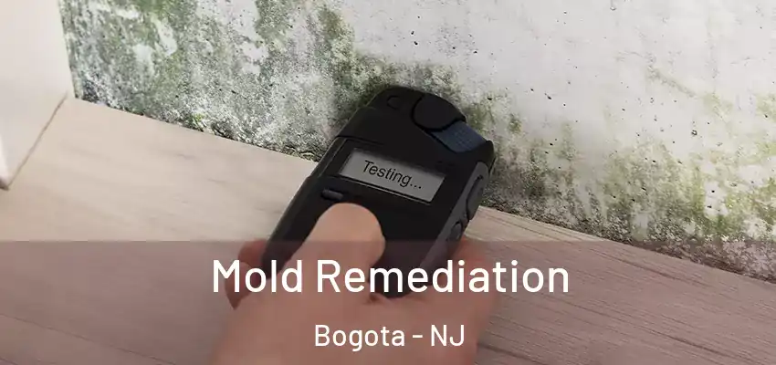 Mold Remediation Bogota - NJ