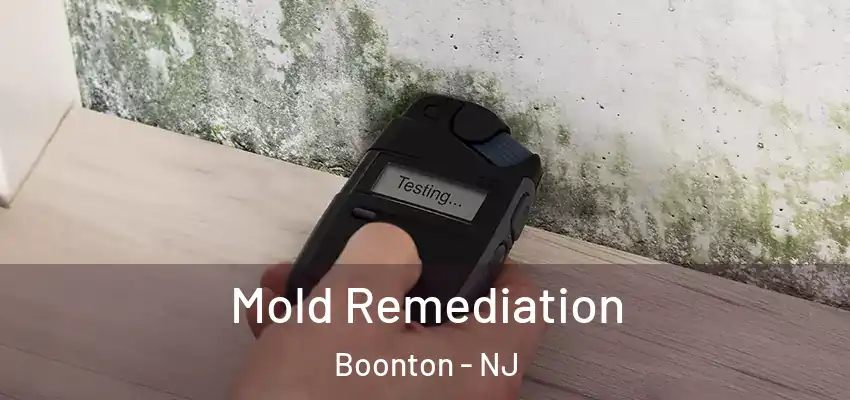 Mold Remediation Boonton - NJ