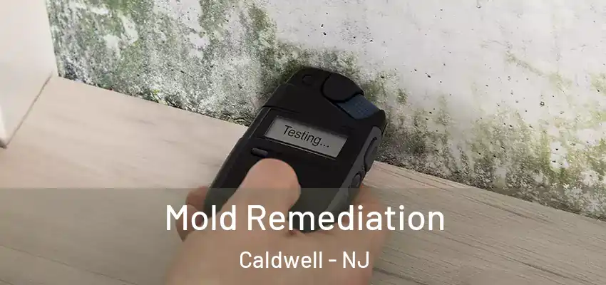  Mold Remediation Caldwell - NJ