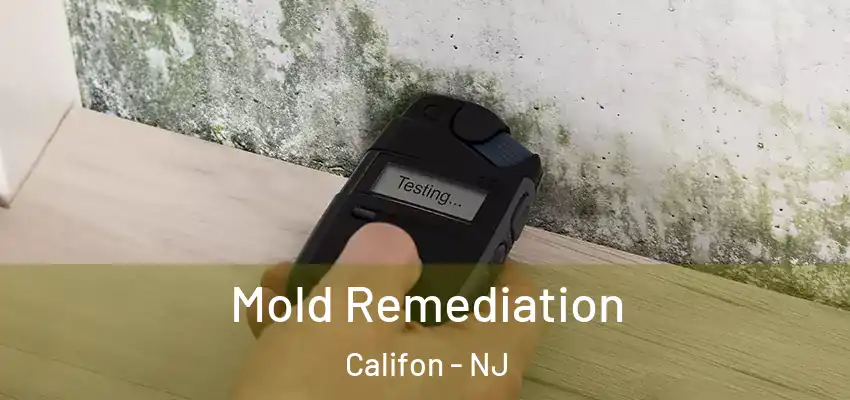  Mold Remediation Califon - NJ