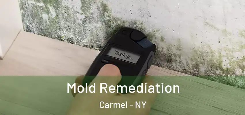  Mold Remediation Carmel - NY