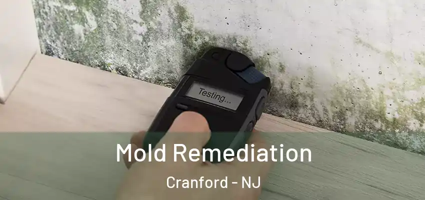 Mold Remediation Cranford - NJ