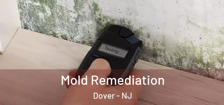 Mold Remediation Dover - NJ
