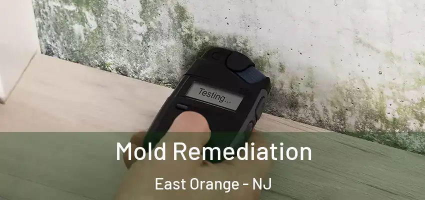  Mold Remediation East Orange - NJ