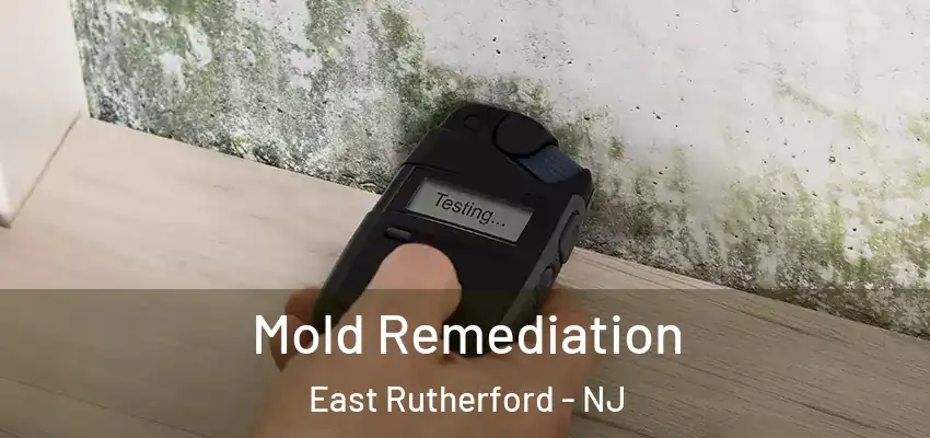  Mold Remediation East Rutherford - NJ