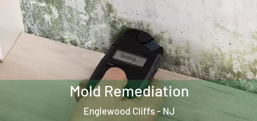 Mold Remediation Englewood Cliffs - NJ