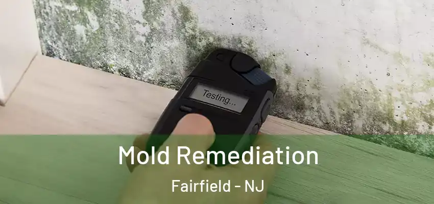 Mold Remediation Fairfield - NJ