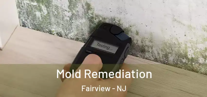  Mold Remediation Fairview - NJ