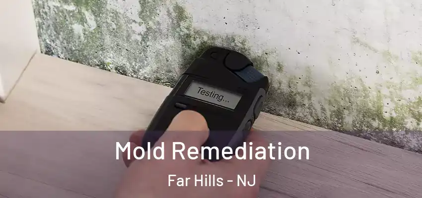  Mold Remediation Far Hills - NJ