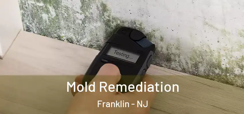  Mold Remediation Franklin - NJ