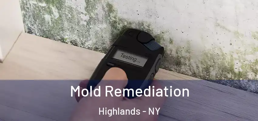  Mold Remediation Highlands - NY
