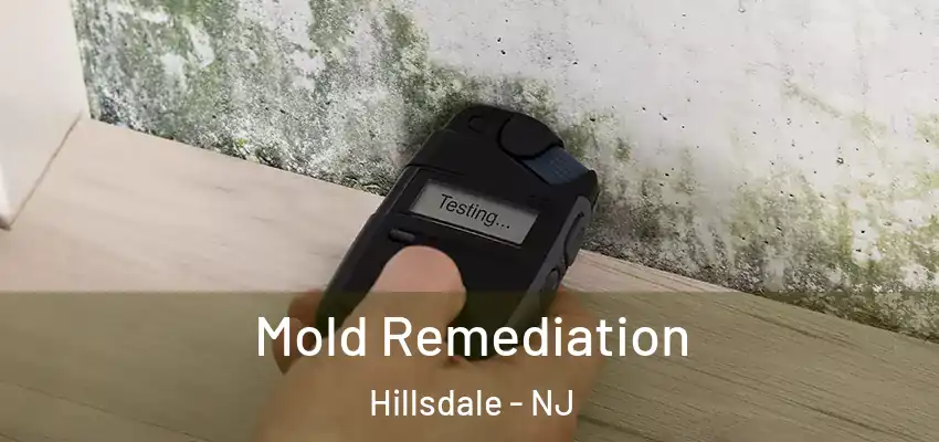 Mold Remediation Hillsdale - NJ
