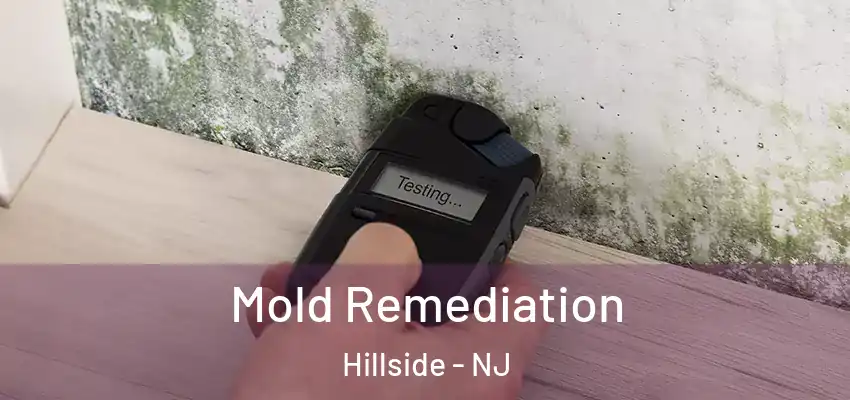 Mold Remediation Hillside - NJ