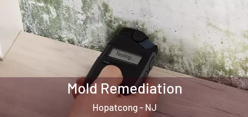  Mold Remediation Hopatcong - NJ