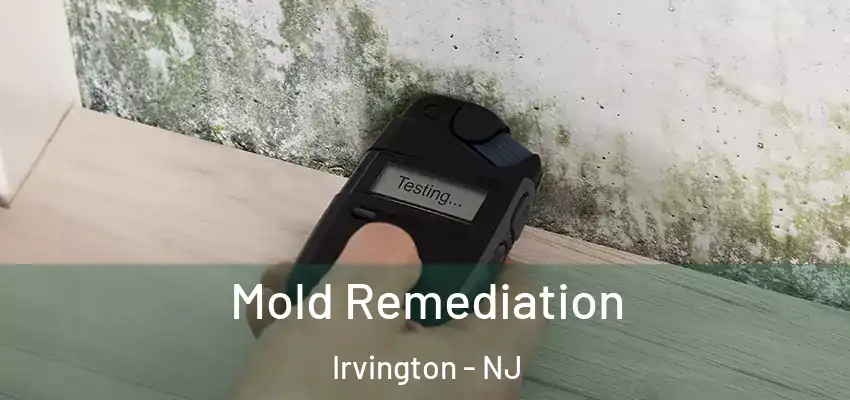 Mold Remediation Irvington - NJ