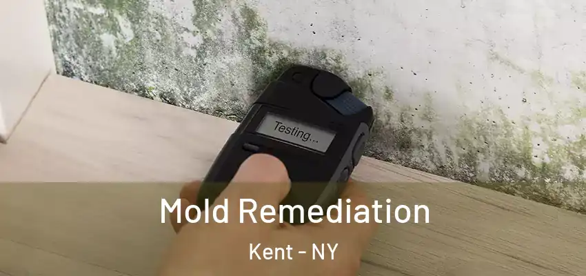 Mold Remediation Kent - NY