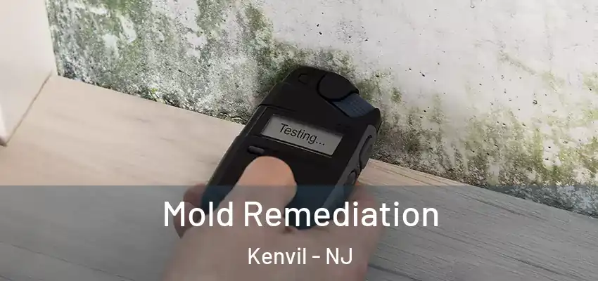 Mold Remediation Kenvil - NJ