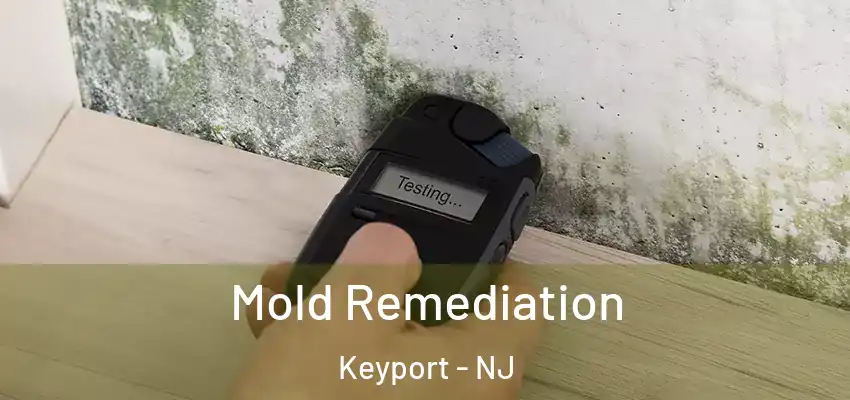  Mold Remediation Keyport - NJ
