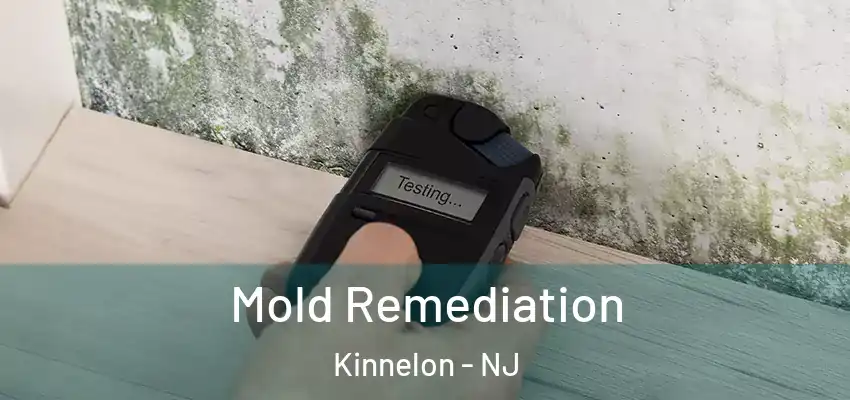  Mold Remediation Kinnelon - NJ