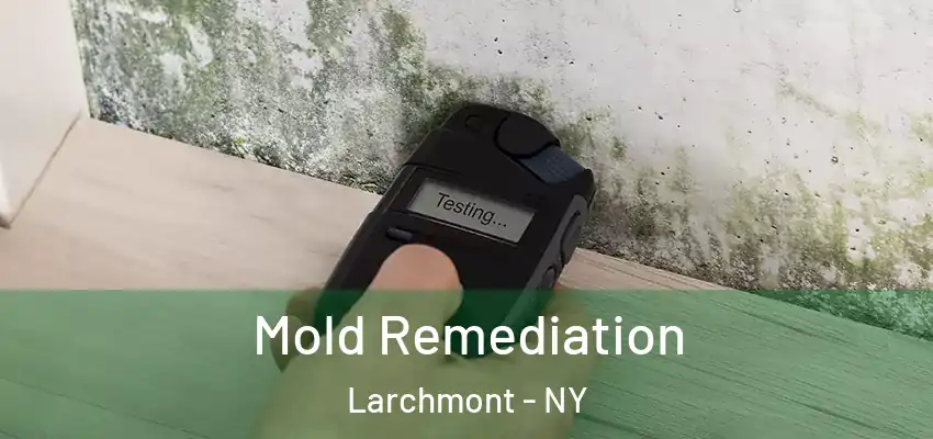  Mold Remediation Larchmont - NY