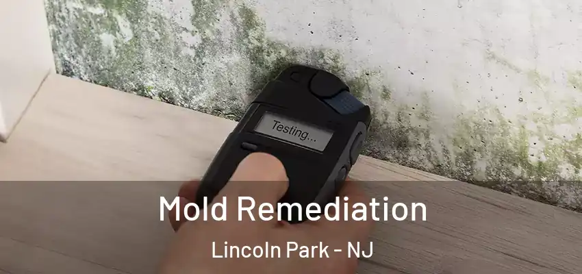  Mold Remediation Lincoln Park - NJ