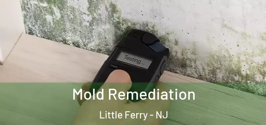 Mold Remediation Little Ferry - NJ