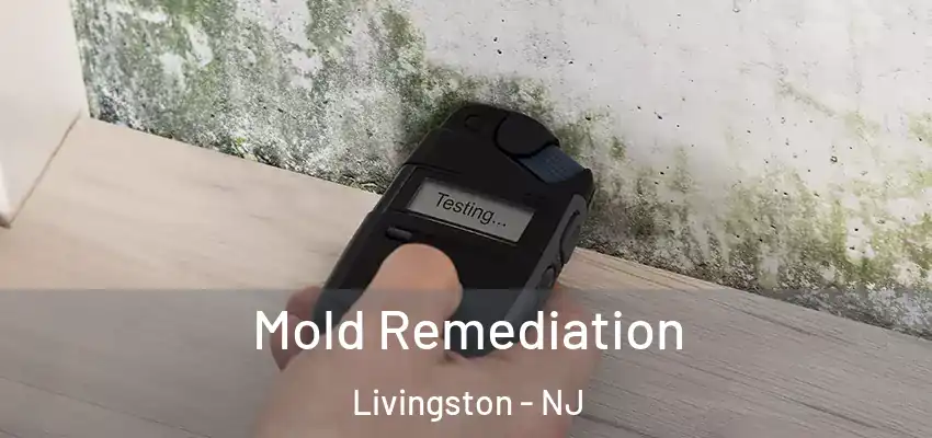 Mold Remediation Livingston - NJ