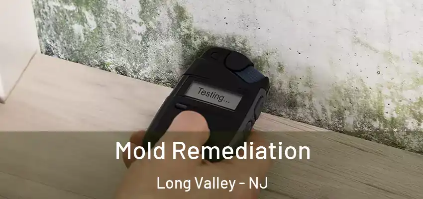 Mold Remediation Long Valley - NJ