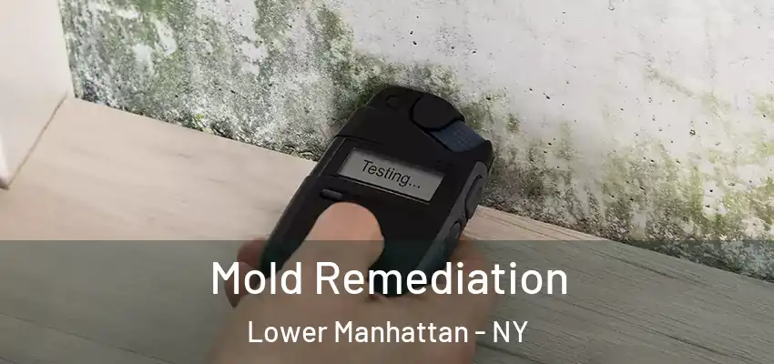  Mold Remediation Lower Manhattan - NY