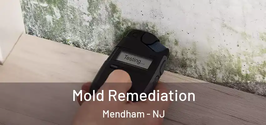 Mold Remediation Mendham - NJ