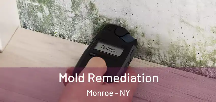  Mold Remediation Monroe - NY