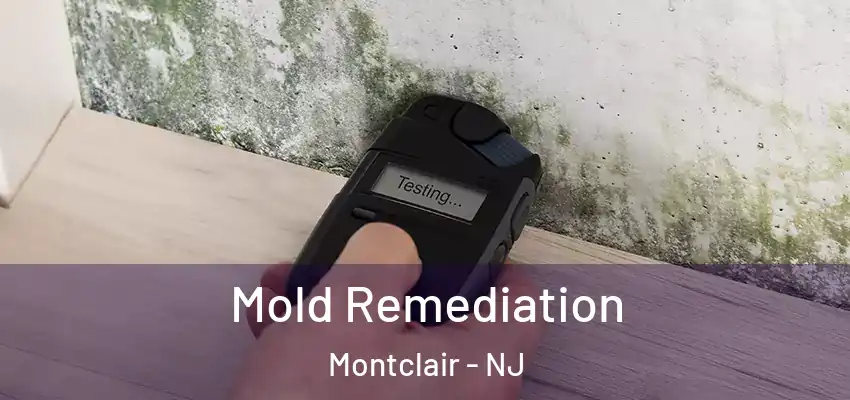 Mold Remediation Montclair - NJ