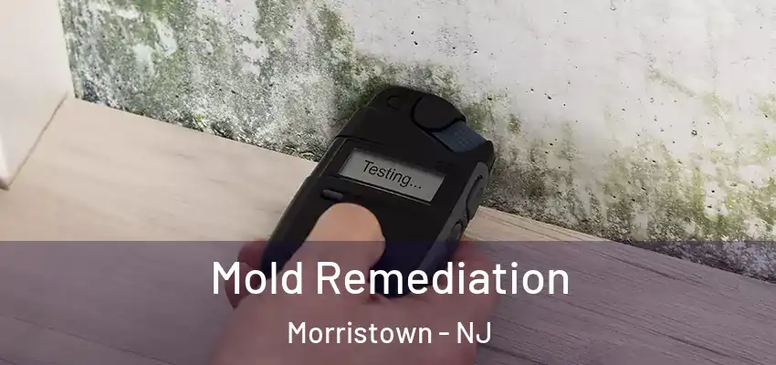  Mold Remediation Morristown - NJ