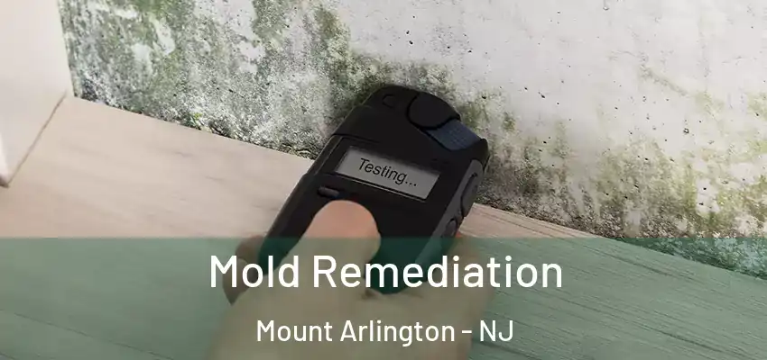 Mold Remediation Mount Arlington - NJ